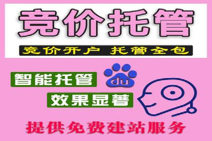 百度推广优化策略：成功案例解析